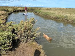 The creek