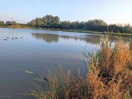 Fishing pond