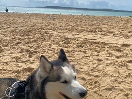 Catching some rays