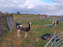 Working farm.