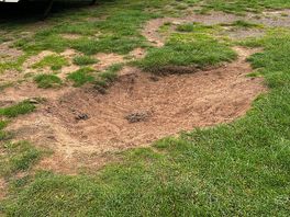 Holes