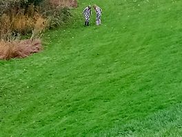 Our view of the kids having a wander about