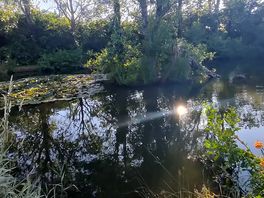 One of the ponds at the site