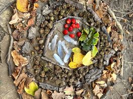 Nature mandala