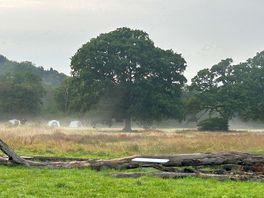 Evening mist