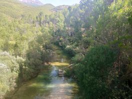 El río segura