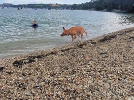 Loe beach is just a 3 minute drive away and perfect for a sea swim in calm waters for all the family