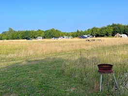 Tranquil meadow