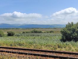 Tracks and field
