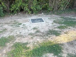 Manhole cover in the middle
