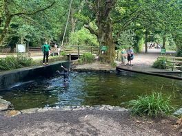 Rope swing
