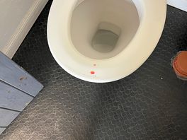 Blood on toilet seat