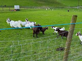 Farm on entrance
