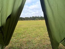 View from the tent