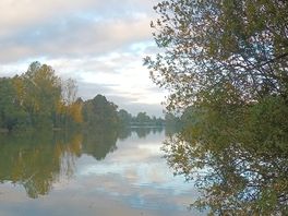 Morning walk around the lake