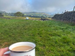 Morning brew