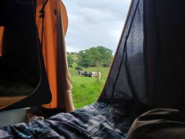 View from our pitch.