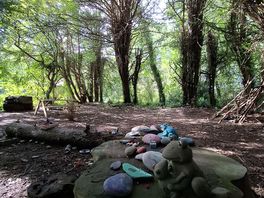 Fairy forest