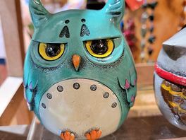 Not as noisy as the owls on site