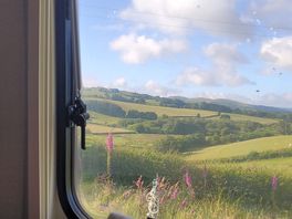 Morning view.