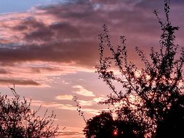 Evening sky
