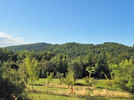 View from the tent