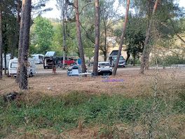 Zona baja de acampada entre las parcelas 12 y 16.