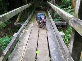 Our little walk.
