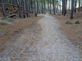 Great walks