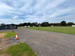 Another of the field