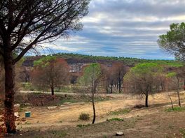 Views from pitch showing recent wildfires