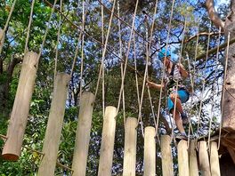 Treetop adventures