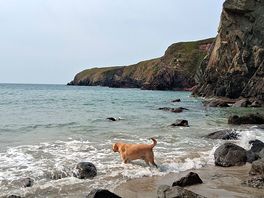 Nearby beach