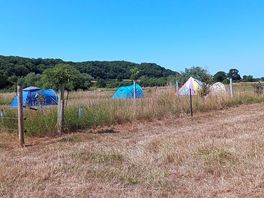 Another view of the camp field