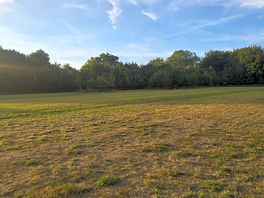 Peaceful
