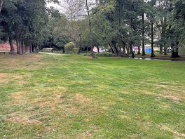 The grounds