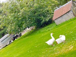 Its a working farm