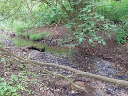 Magical hidden places