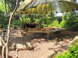 Activity areas