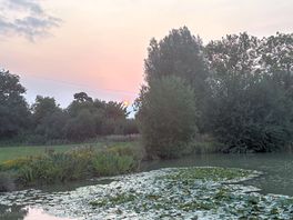 Sunset next to the fishing pond.