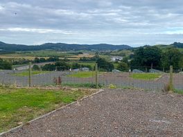 The view