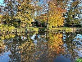 Canal side reflections