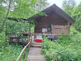 Barn owl cabin