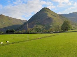 View from tent