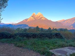 View from the site.
