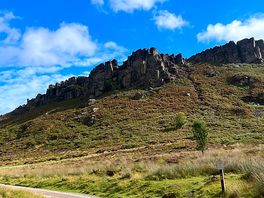 Up the roaches