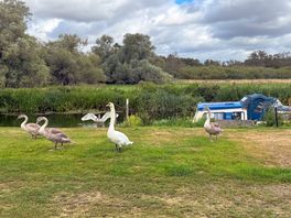 Request a riverbank pitch! , this is your view. there is busy road to left.