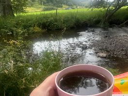 Morning coffee with a view.