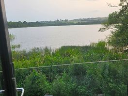 The swans nest view