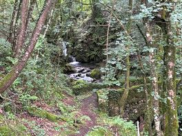 Nearby river